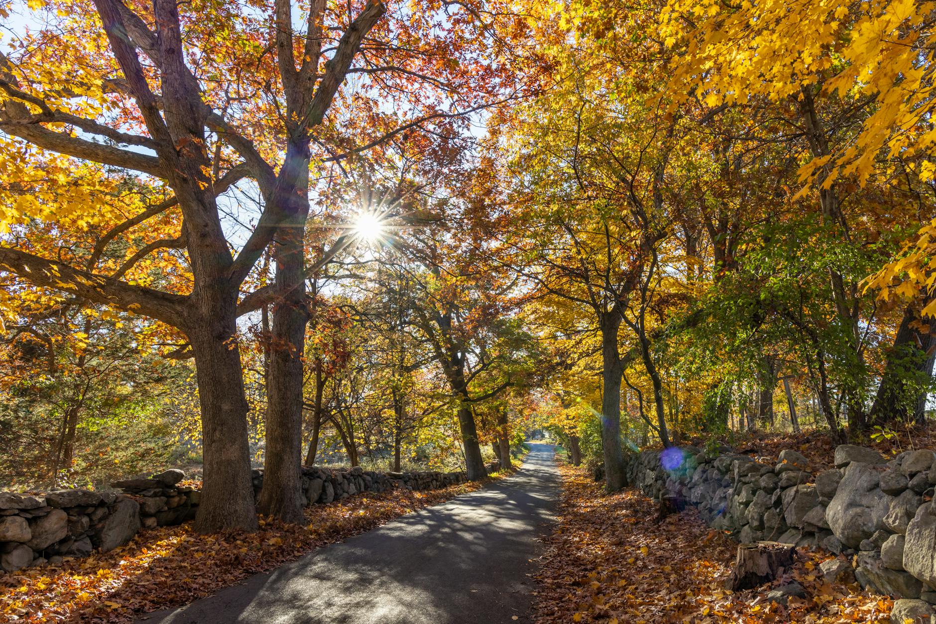 Living in Newton MA 2026: Complete Neighborhood Guide