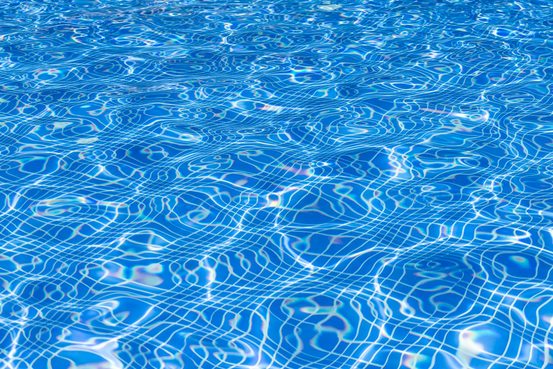 Clean backyard swimming pool maintained by Dolphin Nautilus CC robotic cleaner
